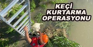 KEÇİ KURTARMA OPERASYONU