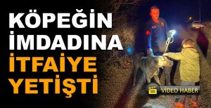 KÖPEĞİN İMDADINA İTFAİYE YETİŞTİ