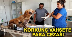 KORKUNÇ VAHŞETE PARA CEZASI