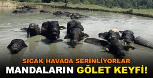 MANDALARIN GÖLET KEYFİ!