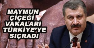 MAYMUN ÇİÇEĞİ VAKALARI TÜRKİYE’YE SIÇRADI