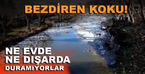 GEREDELİLERİ BEZDİREN KOKU....