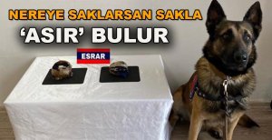 NEREYE SAKLARSAN SAKLA ‘ASIR’ BULUR
