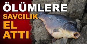 ÖLÜMLERE SAVCILIK EL ATTI