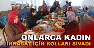 ONLARCA KADIN İHRACAT İÇİN KOLLARI SIVADI