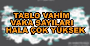 TABLO VAHİM BOLU’DA VAKA SAYILARI HALA YÜKSEK