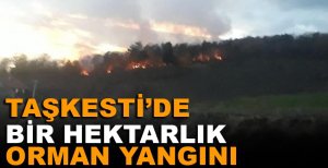 TAŞKESTİ’DE BİR HEKTARLIK ORMAN YANGINI