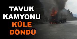 TAVUK KAMYONU KÜLE DÖNDÜ