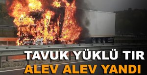 TAVUK YÜKLÜ TIR ALEV ALEV YANDI
