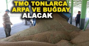 TMO TONLARCA  ARPA VE BUĞDAY ALACAK