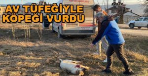 TÜFEKLE KÖPEĞİ VURAN ŞÜPHELİ GÖZALTINA ALINDI