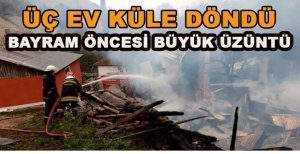 ÜÇ EV ALEV ALEV YANDI