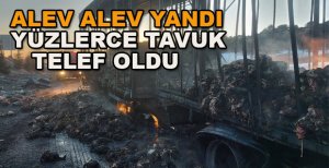 YANAN KAMYONDA YÜZLERCE TAVUK TELEF OLDU