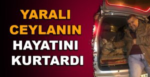 YARALI CEYLANIN HAYATINI KURTARDI