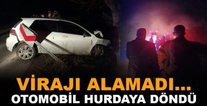 KÖPEĞE ÇARPMAMAK İÇİN YOLDAN ÇIKTI, PARAMPARÇA OLDU: 1 YARALI