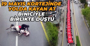 19 MAYIS KORTEJİNDE YOLDA KAYAN AT, BİNİCİYLE BİRLİKTE DÜŞTÜ