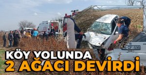 2 AĞACI DEVİRDİ: OTOMOBİL KULLANILAMAZ HALE GELDİ... 2 YARALI...