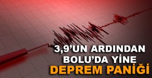 3,9'UN ARDINDAN BOLU'DA YİNE DEPREM PANİĞİ
