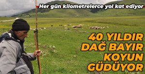40 YILDIR ÇOBANLIK YAPIYOR...