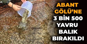 ABANT GÖLÜ MİLLİ PARKI'NA 3 BİN 500 YAVRU BALIK BIRAKILDI