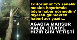 AĞAÇTA MAHSUR KALDI, YARDIMINA İTFAİYE KOŞTU...