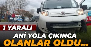 ANİDEN YOLA ÇIKTI: 1 YARALI