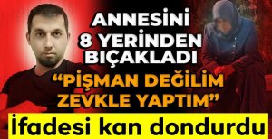 ANNESİNİ 8 YERİNDEN BIÇAKLAMIŞTI, İDDİANAMEDEKİ İFADESİ KAN DONDURDU