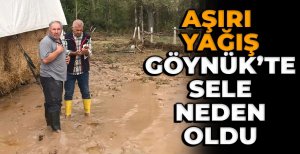 AŞIRI YAĞIŞ SELE NEDEN OLDU...