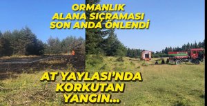 AT YAYLASINDA KORKUTAN YANGIN...