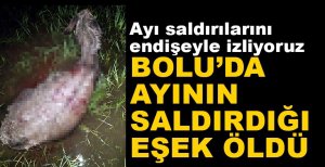 AYININ SALDIRDIĞI EŞEK ÖLDÜ...
