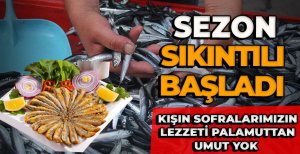 BALIK SEZONU SIKINTILI BAŞLADI