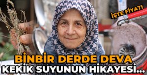 BİNBİR ZAHMETLE TOPLANAN KEKİK, KIYMETLİ ELLERDE ŞİFA DEPOSUNA DÖNÜŞÜYOR...