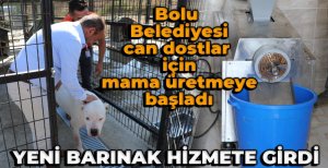 BOLU BELEDİYESİ SOKAK HAYVANLARINA MAMA ÜRETİMİNE BAŞLADI