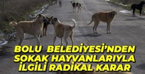BOLU BELEDİYESİ'NDEN RADİKAL KARAR