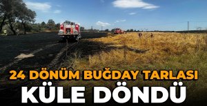 BOLU'DA 24 DÖNÜMLÜK BUĞDAY TARLASI KÜLE DÖNDÜ...