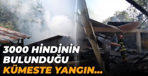 BOLU'DA 3 BİNLİK KÜMESTE YANGIN...