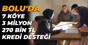 BOLU'DA  7 KÖYE  3 MİLYON  270 BİN TL  KREDİ DESTEĞİ