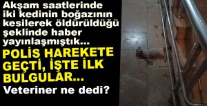 KEDİLERİN ÖLÜMÜYLE İLGİLİ İLK BULGULAR....
