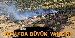 BOLU'DA ARAZİDE ÇIKAN YANGIN EVLERE SIÇRADI...