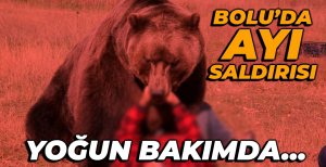 BOLU'DA AYININ SALDIRDIĞI ADAM YOĞUN BAKIMDA