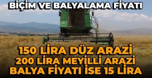 BOLU'DA BİÇİM VE BALYALAMA FİYATI BELLİ OLDU...