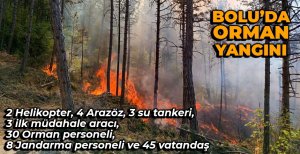 BOLU'DA BİR ORMAN YANGINI DAHA... HELİKOPTERLER SEVK EDİLDİ...