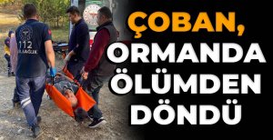 BOLU'DA ÇOBAN, ORMANDA ÖLÜMDEN DÖNDÜ...