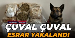 BOLU'DA ÇUVAL ÇUVAL UYUŞTURUCU YAKALANDI
