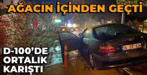 BOLU'DA D-100'DE ORTALIK KARIŞTI... AĞACI GÖVDESİNDEN KOPARTTI...