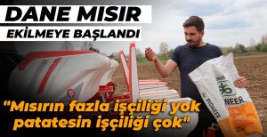 BOLU'DA DANE MISIRI EKİMİ İÇİN ÇİFTÇİLER KOLLARI SIVADI