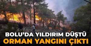 BOLU'DA DÜŞEN YILDIRIM SONUCUNDA ORMAN YANGINI ÇIKTI...