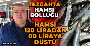 BOLU'DA HAMSİ 120 LİRADAN 80 LİRAYA DÜŞTÜ...