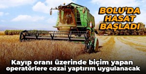 BOLU'DA HASAT SEZONU BAŞLADI