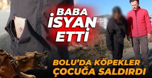 BOLU’DA KÖPEKLER ÇOCUĞA SALDIRDI